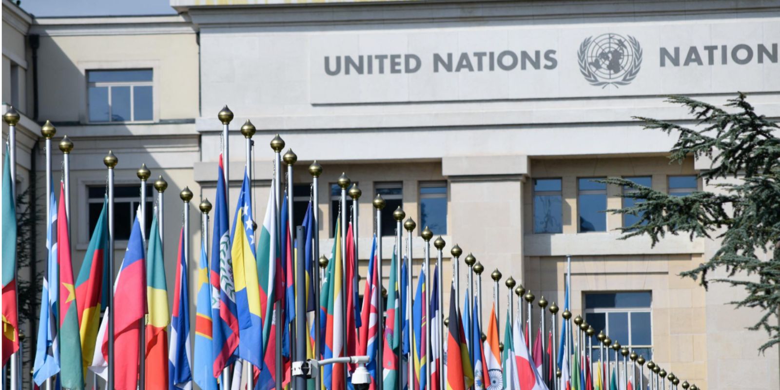 研究室の雰囲気や活動イメージ / Lab atmosphere